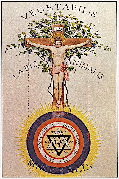 An esoteric Rosicrucian painting by John Augustus Knapp showing Jesus Christ crucified on a cross that transforms into a grapevine labeled "Vegetabilis," "Lapis Animalis," and "Mineralis," with blood dripping into a golden solar disk containing a Hebrew hexagram below.