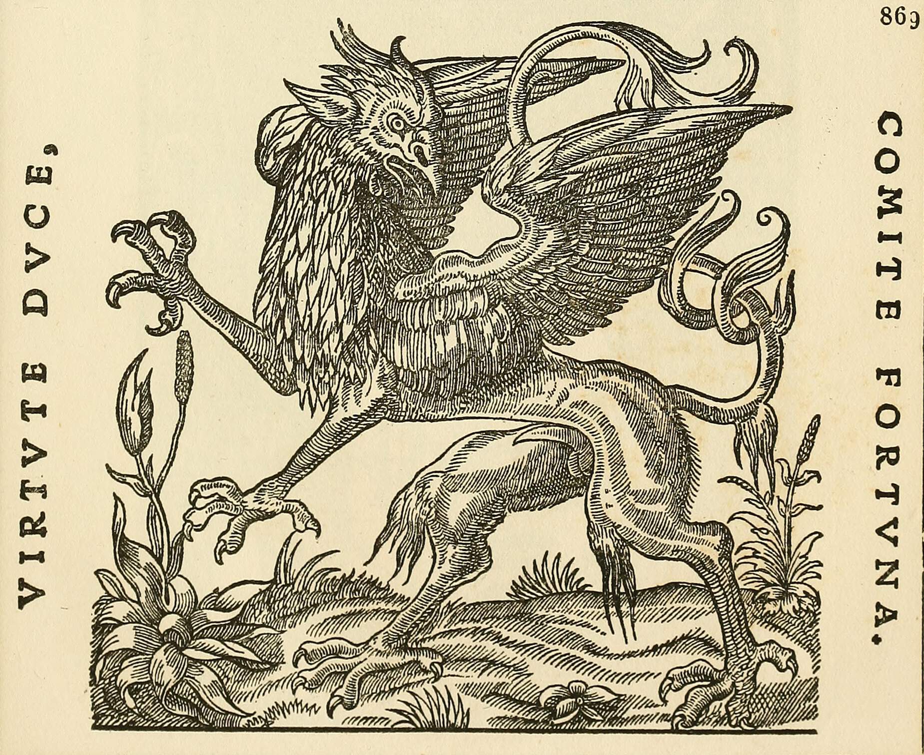 You are currently viewing The Griffin’s Grip: Exploring the Myth of Lyon’s “Société Angélique”