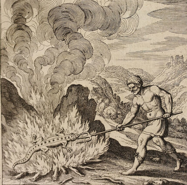 A 17th-century alchemical woodcut engraving depicting a large, mythological salamander creature enduring a blazing fire without being harmed, while a robed man stands nearby holding a long iron pitchfork amid billowing smoke.